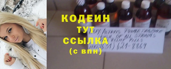 амф Бородино