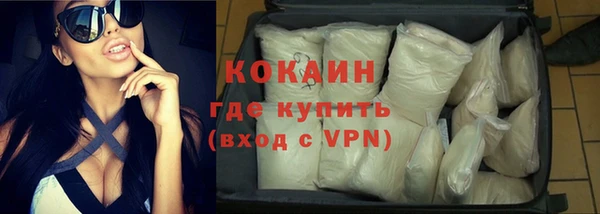 амф Бородино