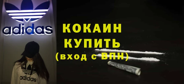 амф Бородино