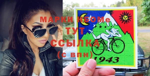 амф Бородино